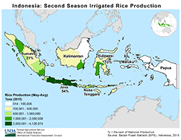 images\ID\seasonalmap\Indonesia_SecondSeason_Irrigated_Rice_preview.png